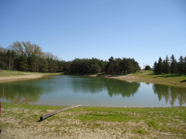 c  Users Scott Pictures ponds a ponds 2011 ann arbor mikee pond 4 ann arbor mikee ( pinckney mid mi pond managment) in (28) resized 600