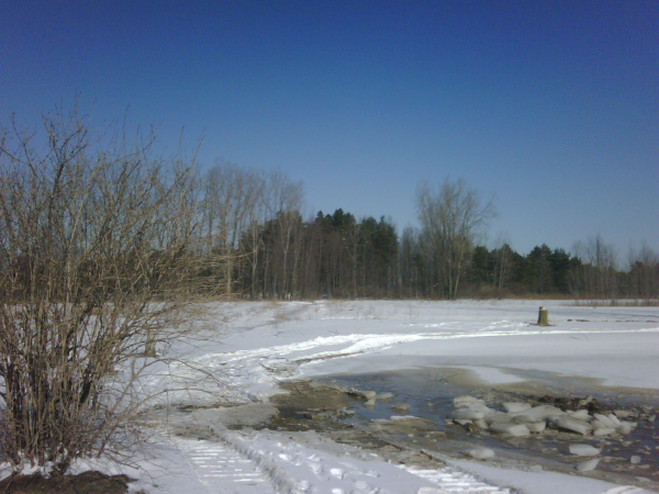 C  Users Scott Pictures ponds a ponds 2011 mayville larger pond mayville michigan pond maintenence (6) resized 600