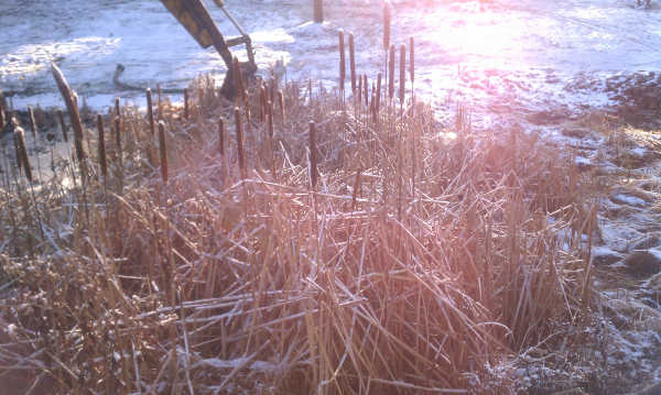 dredge pond with 4x4 tractor