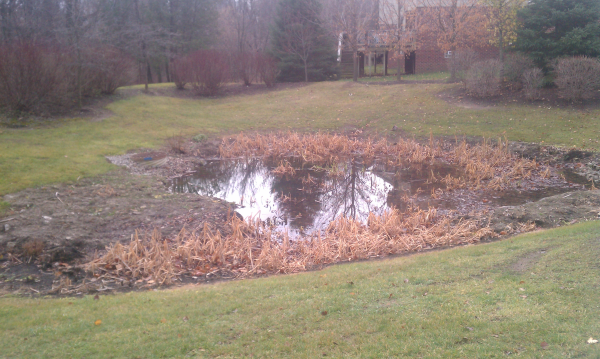 C  Users Scott Pictures ponds a ponds 2011 novi clean out novi Michigan pond dredge 2 N novi (Michigan pond dredge bloomfield) N (4) resized 600