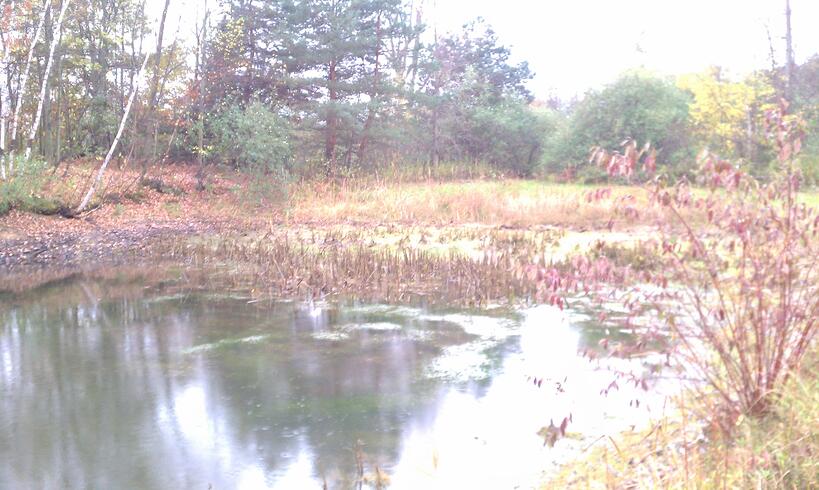 C  Users Scott Pictures ponds a ponds 2011 birch run clean out lansing N 2011 birchrun clean out lansing 2011 N (8)