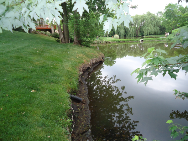  Saline, Michigan Boulder wall around pond install  Washtenaw County (13) resized 600