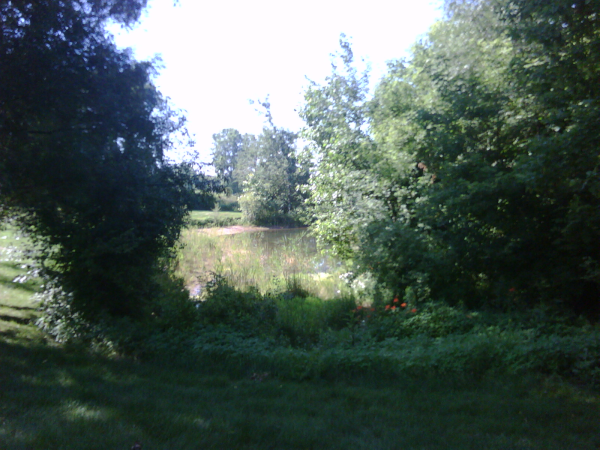 saline N retention pond maintenance (3) resized 600