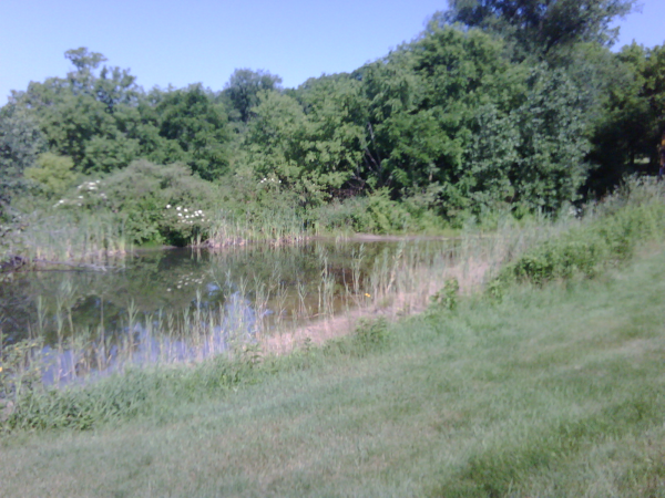 saline N retention pond maintenance (8) resized 600