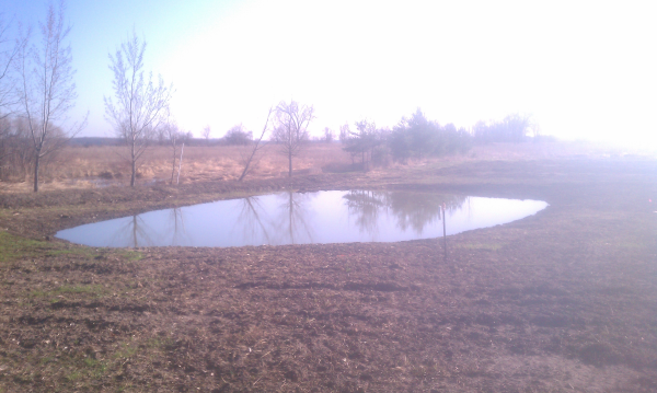 Ingham county pond Custovo (N)  (2) resized 600
