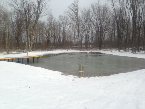 pond dock nice resized 600