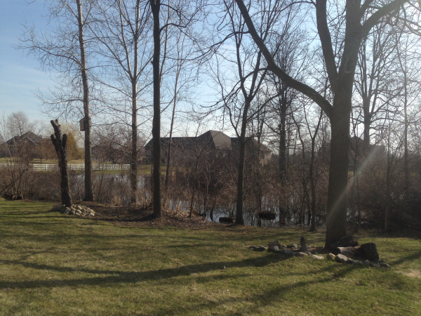 Ann Arbor, MI pond restoration  (9) resized 600