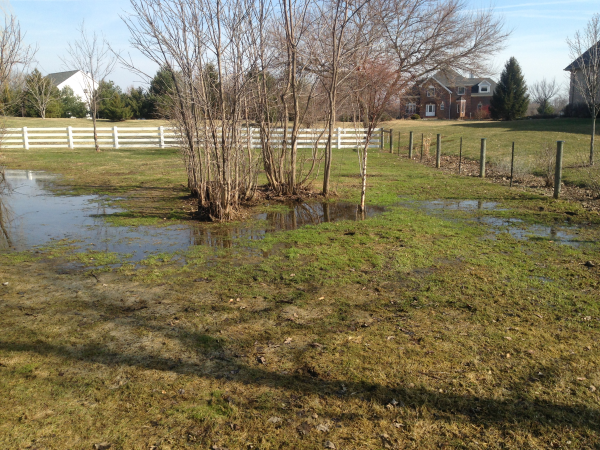 Ann Arbor, MI pond restoration  (19) resized 600