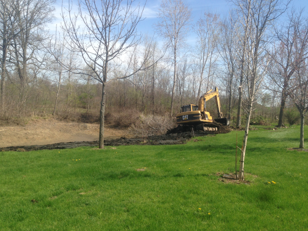 Ann Arbor, MI pond restoration  (61) resized 600