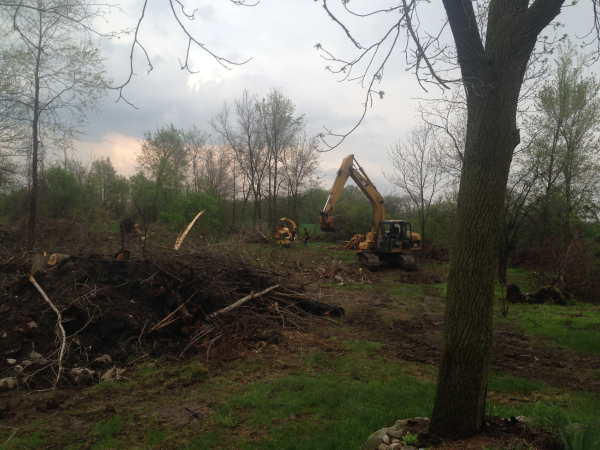Ann Arbor, MI pond restoration  (68) resized 600