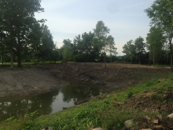 Ann Arbor, MI pond restoration  (45) resized 600