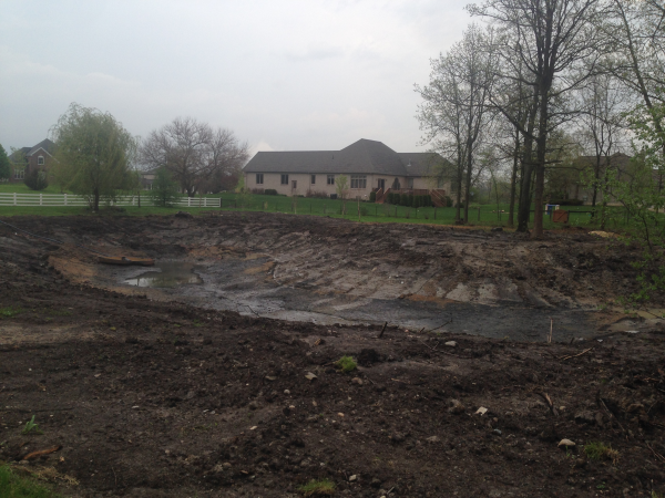 Ann Arbor, MI pond restoration  (69) resized 600