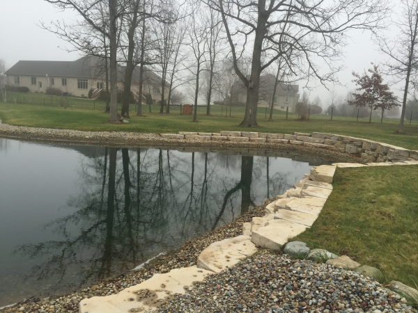 Ann Arbor, MI pond restoration (82) resized 600