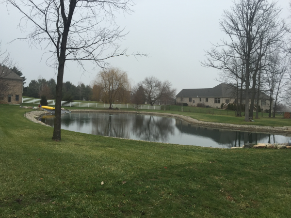 Ann Arbor, MI pond restoration (91) resized 600