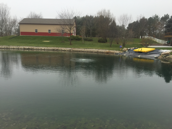 Ann Arbor, MI pond restoration (95) resized 600