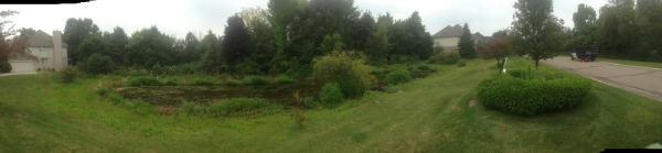 (N) Farmington Hills detention pond fix (35) resized 600