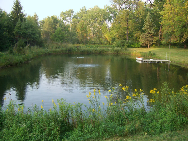 pond chesaing 1 resized 600