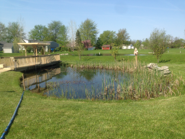 (N) Flushing Michigan water feature pond (4) resized 600