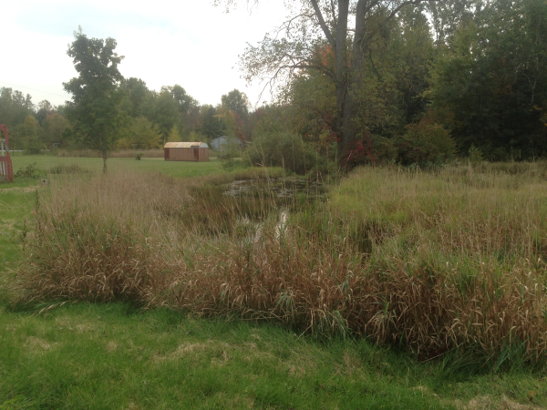 (N) Burt ( farm pond digger Michigan) (5) resized 600