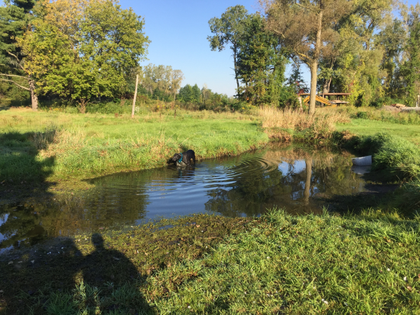 (N) Burt ( farm pond digger Michigan) (2) resized 600