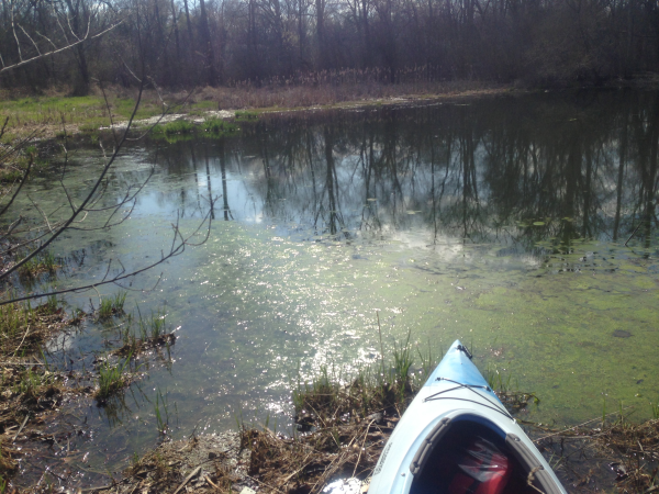 Ann Arbor(N Michigan pond dredge) (68) resized 600