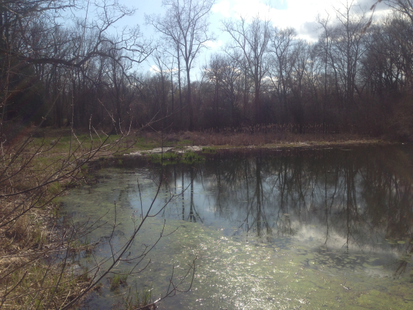Ann Arbor(N Michigan pond dredge) (66) resized 600