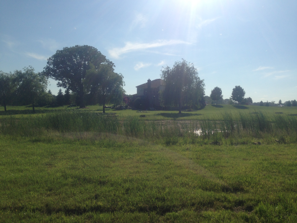 Bruce Twp (N)Michigan pond consultant clean out resized 600