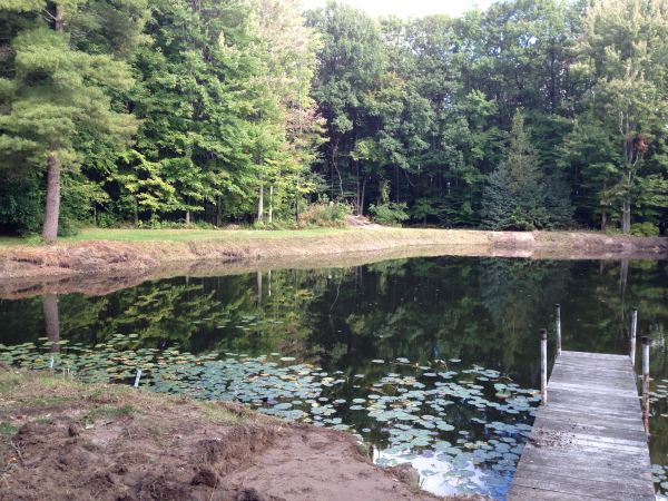 Michiana, Michigan pond care maintenance (14) resized 600