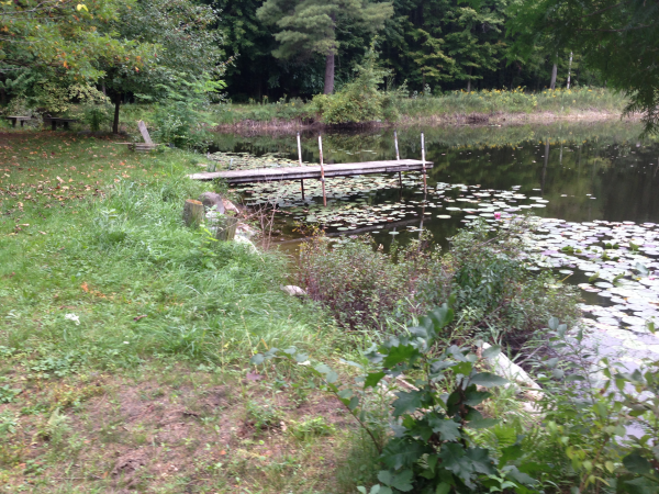 Michiana, Michigan pond care maintenance (10) resized 600