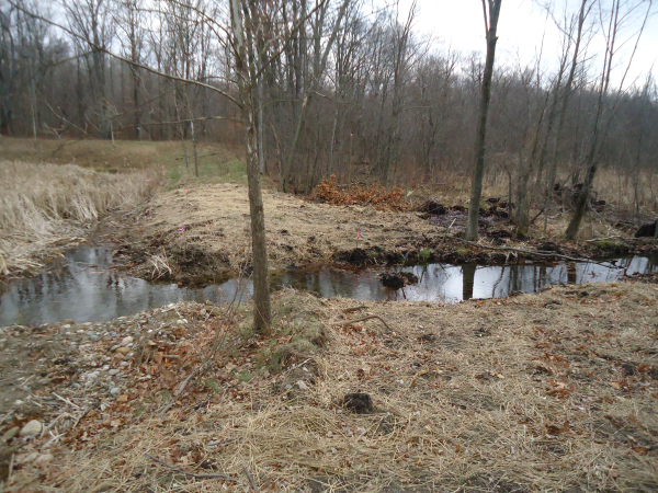 Hartland (N Michigan wetland mitigation MDEQ Restore) (7) resized 600