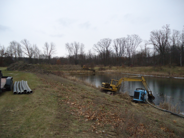 Hartland (N Michigan wetland mitigation MDEQ Restore) (10) resized 600