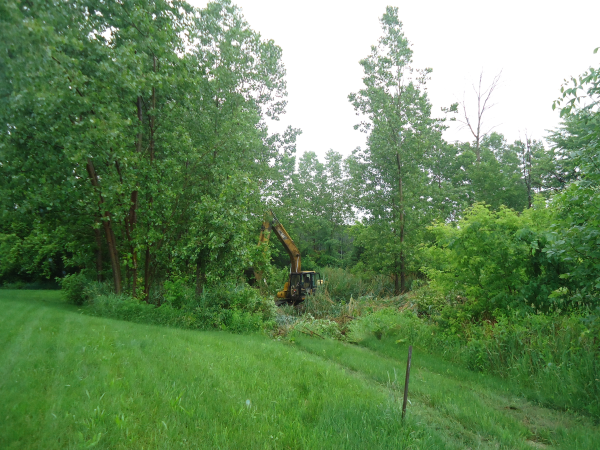 Fenton, Michigan (N) pond maintenance service Genesee county (3) resized 600