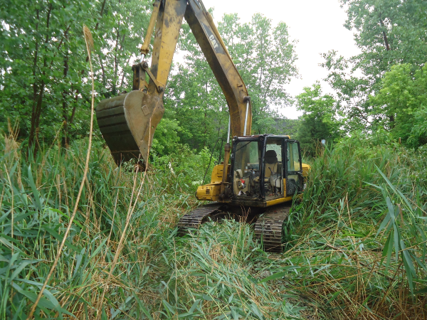 Fenton, Michigan (N) pond maintenance service Genesee county (5) resized 600