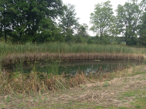 Flushing (N West Bloomfield Twp Oakland County  Long reach pond dredge Michigan (4) resized 600