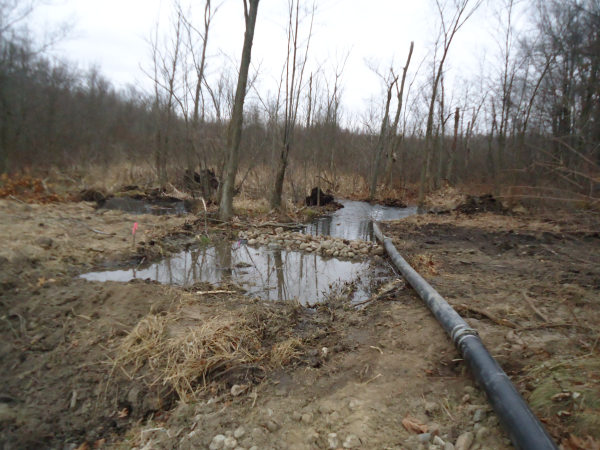 Hartland (N Michigan wetland mitigation MDEQ Restore) (13) resized 600