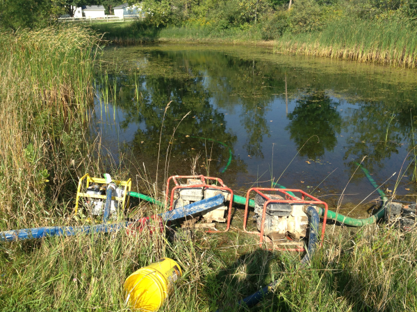 Ottisville, Michigan Removing pond weeds pond care (6) resized 600