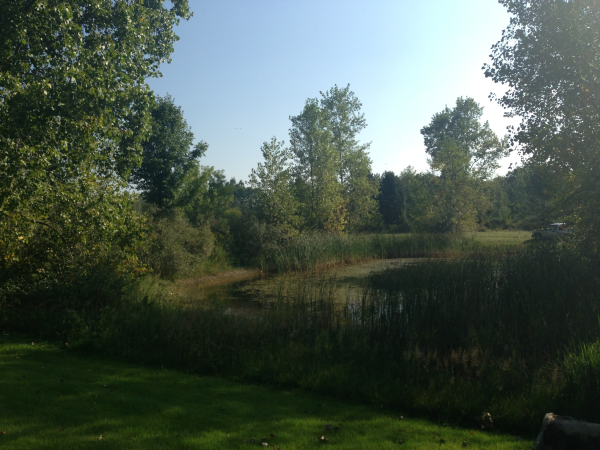 Ottisville, Michigan Removing pond weeds pond care (2) resized 600