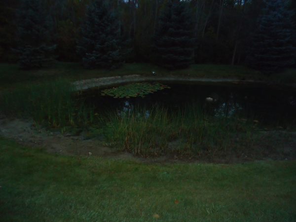 Flushing (n 2013 Northville, Michigan Wayne county  Retaining wall pond Michigan (3) resized 600