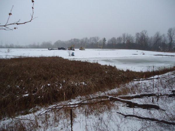 Hartland (N Michigan wetland mitigation MDEQ Restore) (46) resized 600