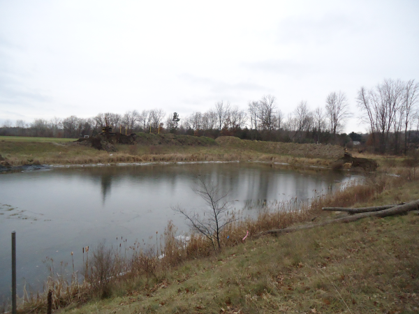 Hartland (N Michigan wetland mitigation MDEQ Restore) (18) resized 600