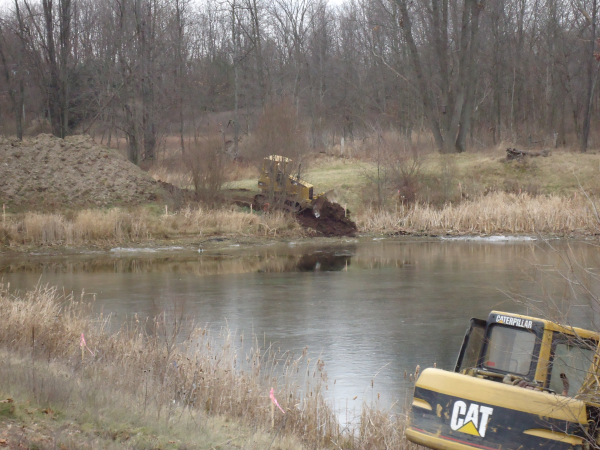 Hartland (N Michigan wetland mitigation MDEQ Restore) (11) resized 600