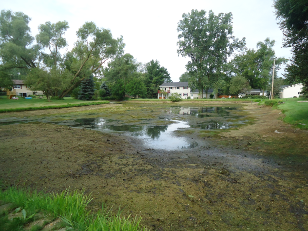 Owosso N Michigan dredging services Dredge Companies aspirating (131) resized 600