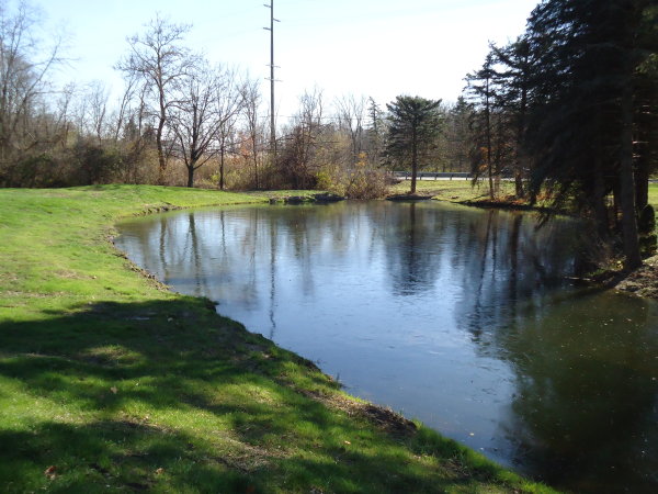 Plymouth, Michigan Sediment pond clean out Michigan  (51) resized 600