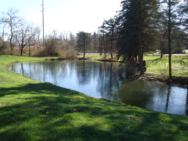 Plymouth, Michigan Sediment pond clean out Michigan  (52) resized 600