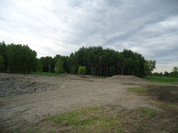 Potterville. Michigan N Michgan pond builder pond construction new pond Lansing (87) resized 600