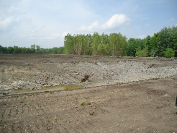 Potterville. Michigan N Michgan pond builder pond construction new pond Lansing (75) resized 600