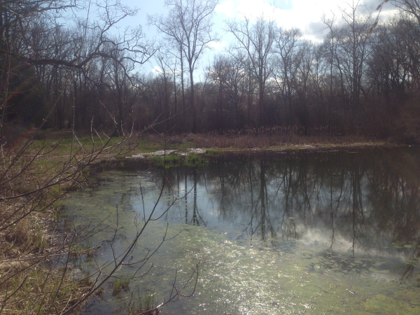 We dredged approx 2500 yards of muck out of pond and then dug through the hard virgin bottom with long reach excavator.