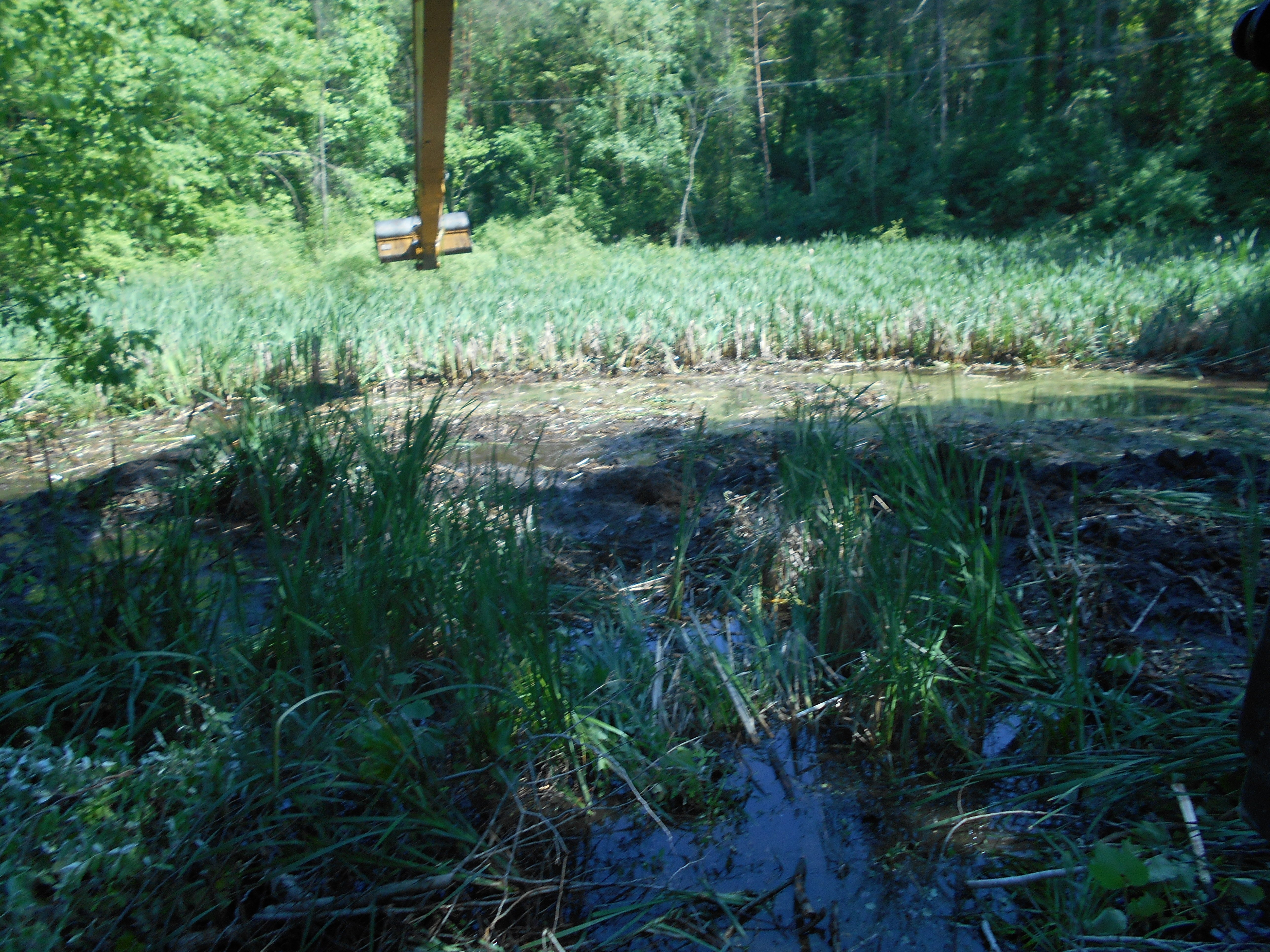 Ada, MI clean out swamp new pond (17) (N)