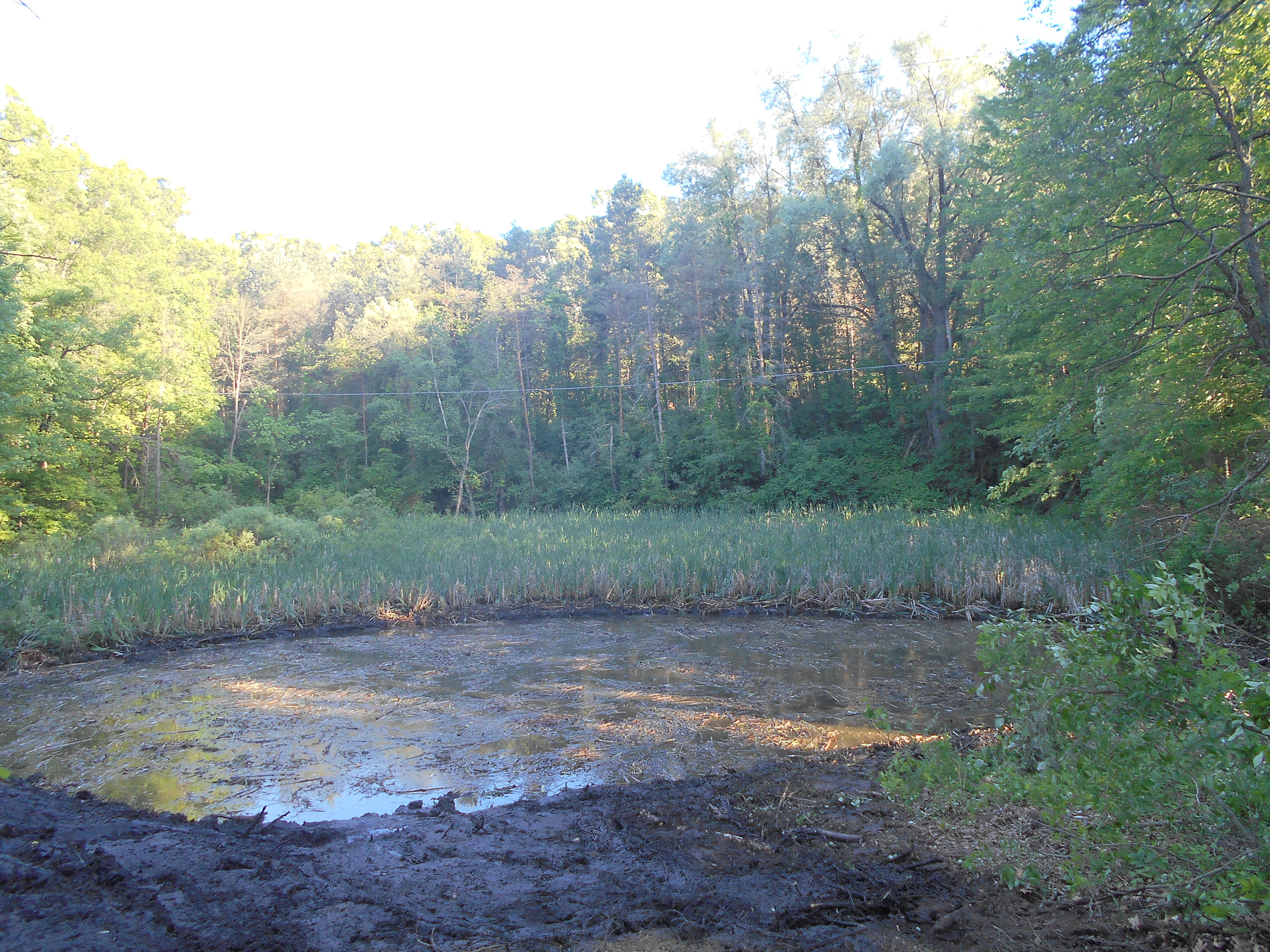 Ada, MI clean out swamp new pond (22) (N)
