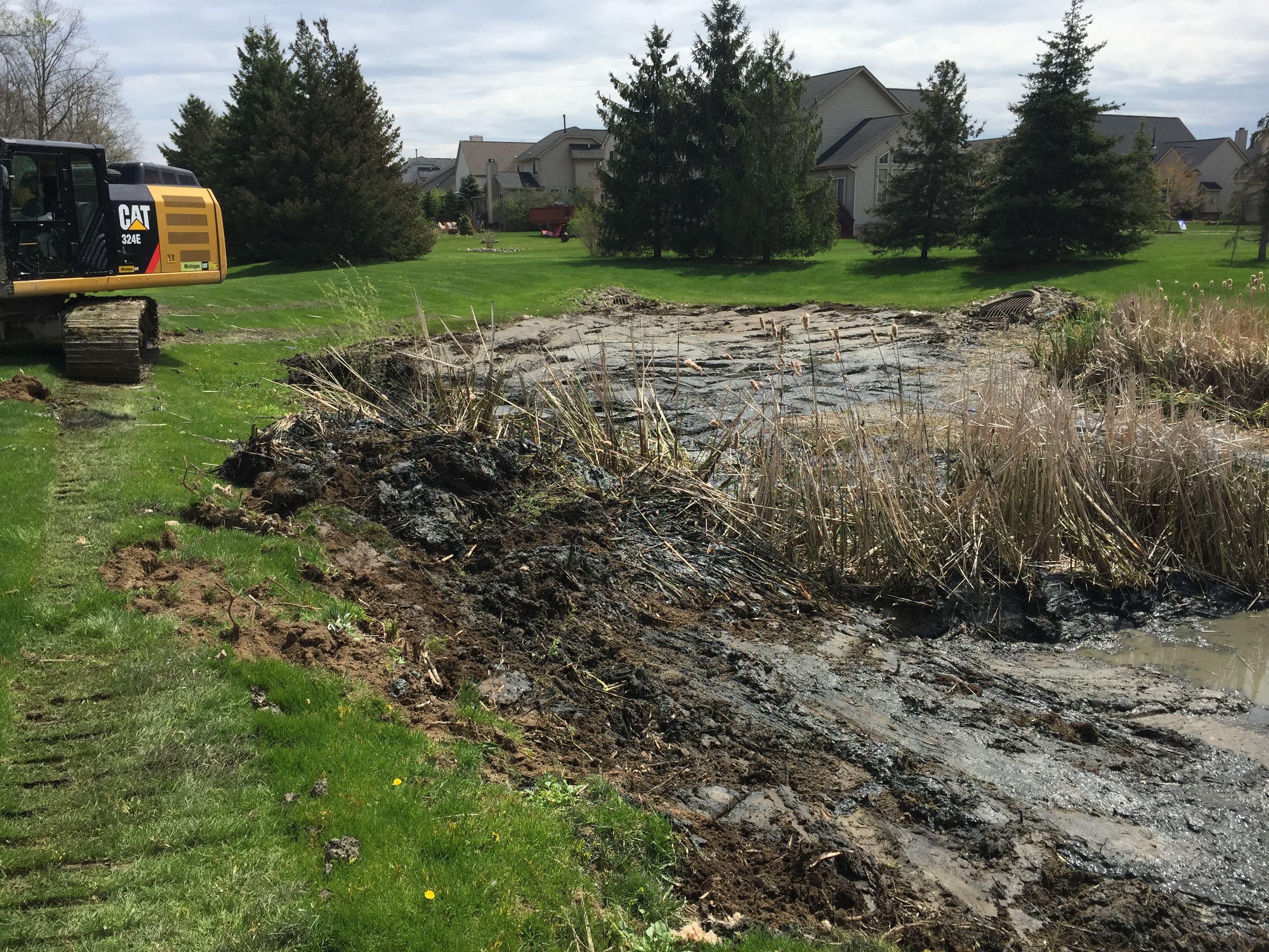 Ann Arbor, Mi Hoa clean out (17).jpg